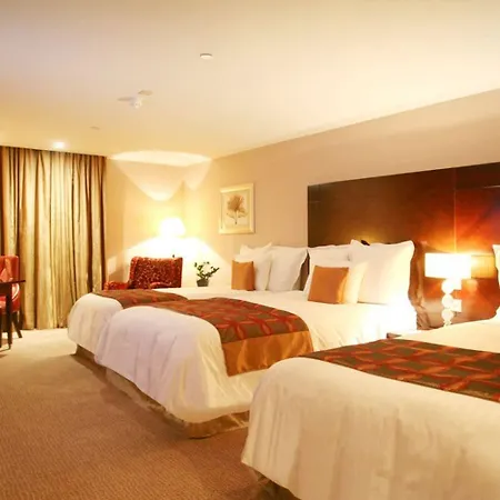 The Savoy 5* Limerick Junction